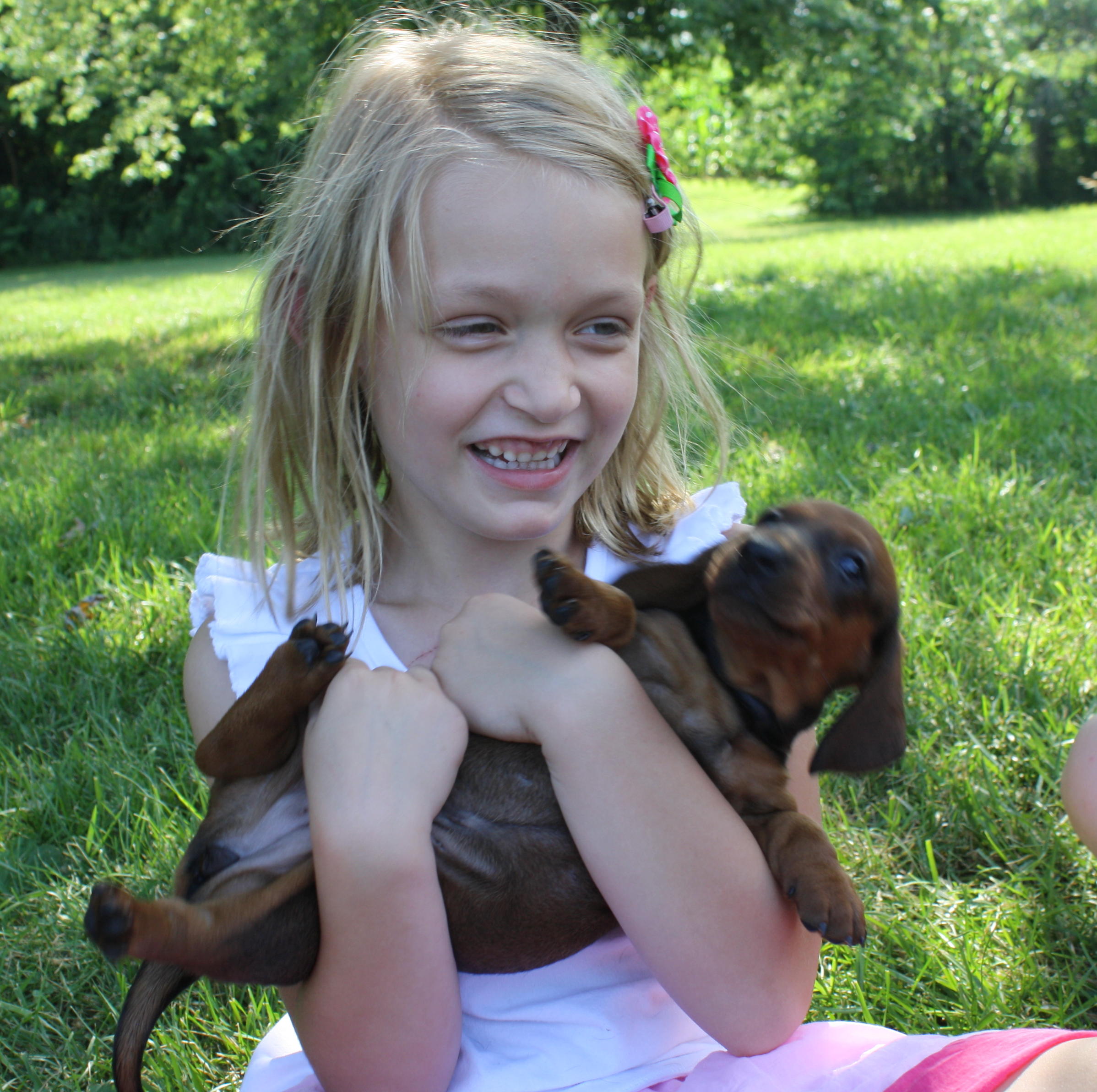 2010_06_27 Cate and puppies.jpg